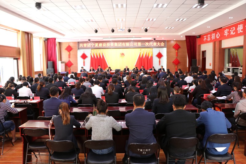 共青团宁夏建设投资集团有限公司委员会召开第一次代表大会
