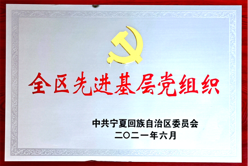 喜讯宁夏建设投资集团有限公司党委荣获“全区先进基层党组织”149.jpg